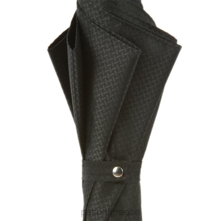 ομπρέλα | PASOTTI 478 50890-5 w37 - ασημένια ομπρέλα λιονταριού 2N6B811 άνδρες